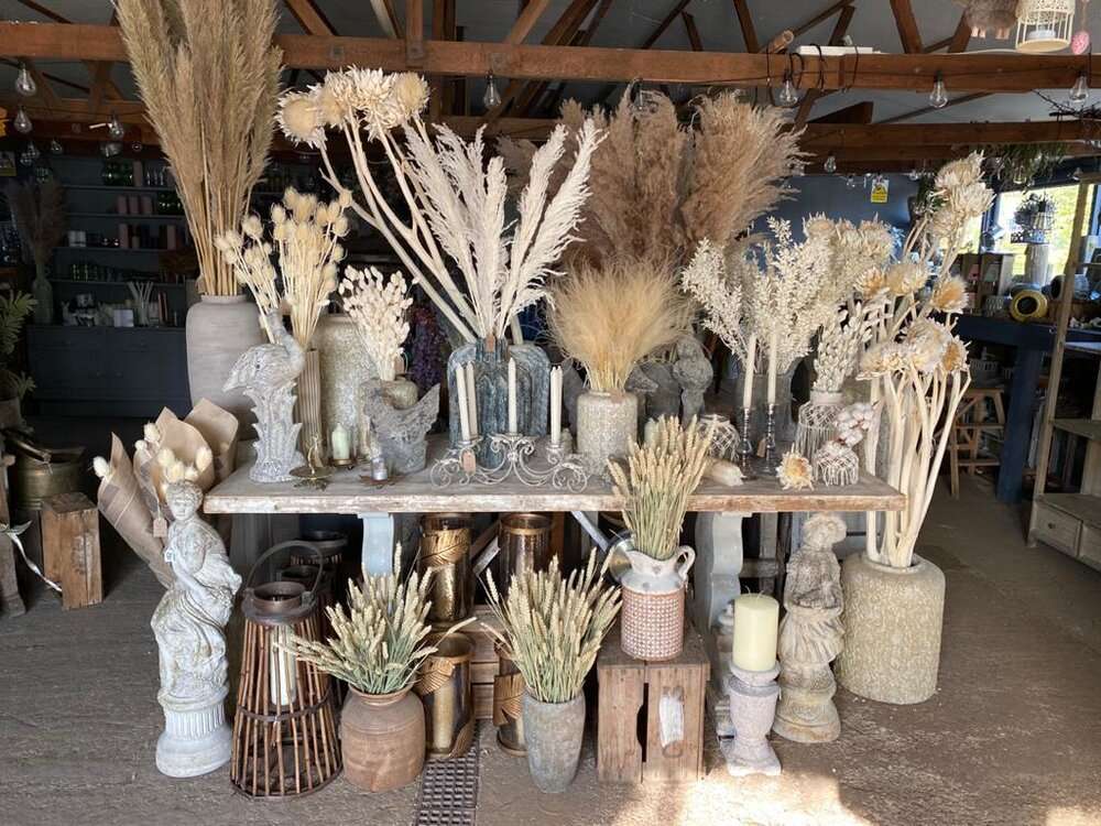 DriedFlowerCollection 1