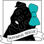 Muffin Pug Rescue